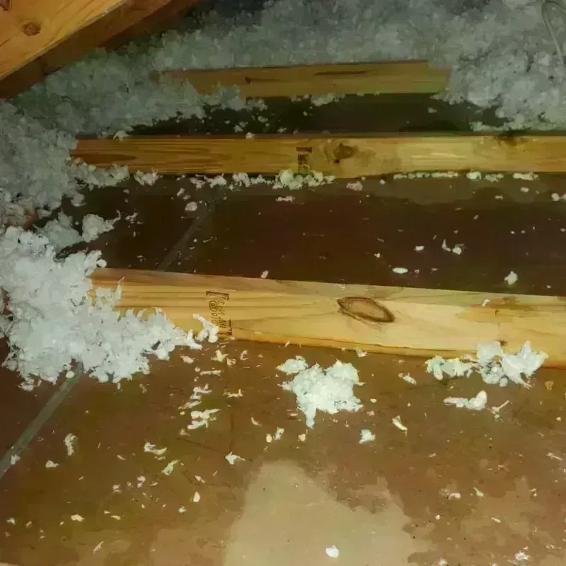 Attic Water Damage in Winder, GA