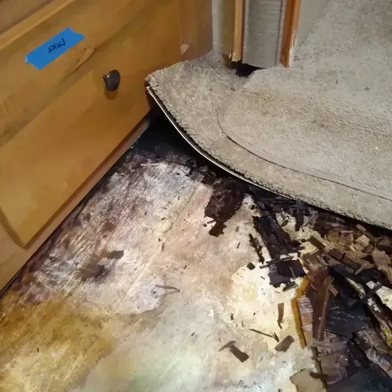 Wood Floor Water Damage in Winder, GA